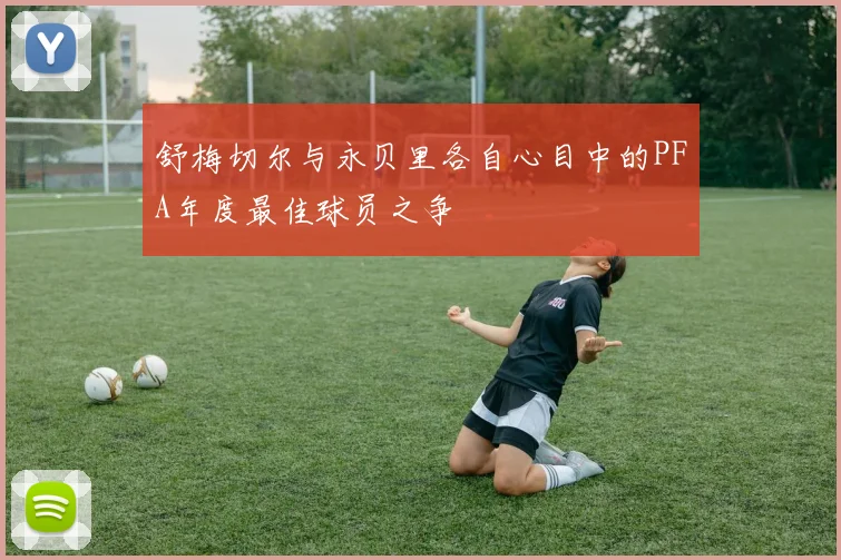 舒梅切尔与永贝里各自心目中的PFA年度最佳球员之争